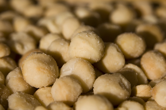 6 Foods to Never Feed Your Pet